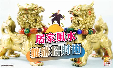 咬錢神獸|神獸供養方法：三腳金蟾篇(咬錢)